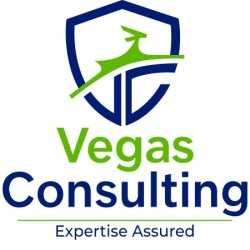 Vegas-Consulting-Group
