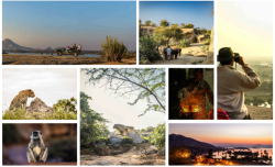 The-Forest-Chapter-by-Sayaji